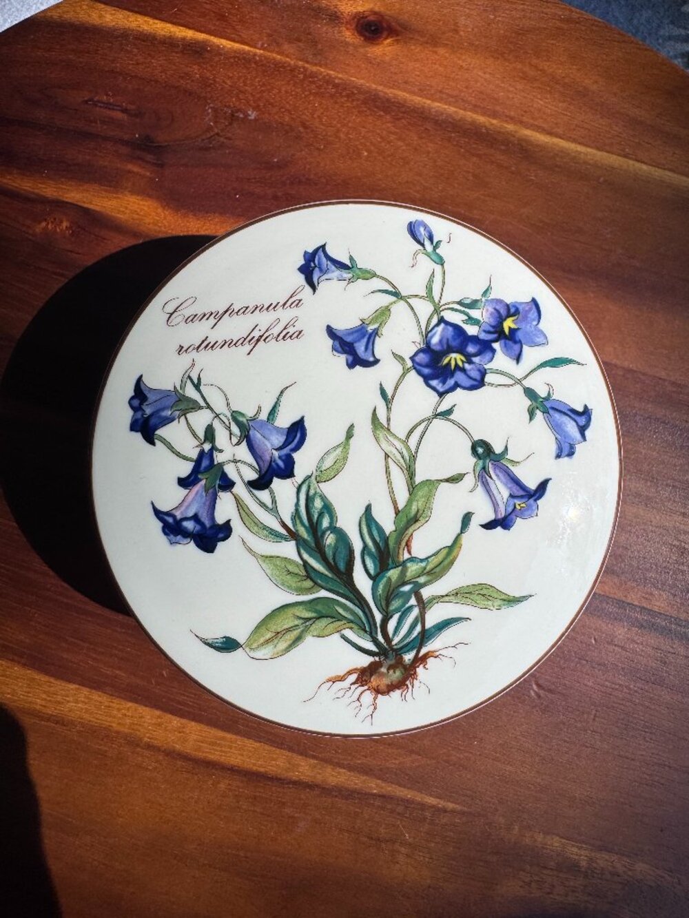 Vintage Villeroy & Boch Botanica Trinket Box - Campanula Rotundifolia Bluebell